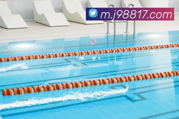 奖项证书